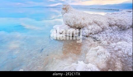 Formations de cristaux de sel sur les rives de la mer Morte, surface d'eau claire calme à proximité, paysage typique du matin à la plage d'Ein Bokek, Israël Banque D'Images