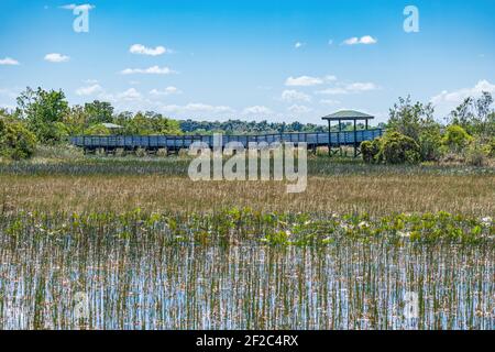 Promenade au-dessus des terres humides - Chapel Trail nature Preserve, Pembroke Pines, Floride, États-Unis Banque D'Images