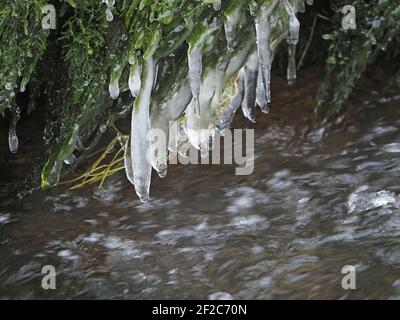 Formations de glace congelées dans le temps sur des mousses sursuspendues au-dessus du ruisseau de précipitation à Winter Cumbria, Angleterre, Royaume-Uni Banque D'Images