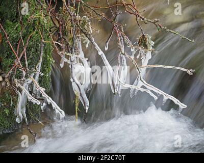 Formations de glace congelées dans le temps sur des mousses sursuspendues au-dessus du ruisseau de précipitation à Winter Cumbria, Angleterre, Royaume-Uni Banque D'Images