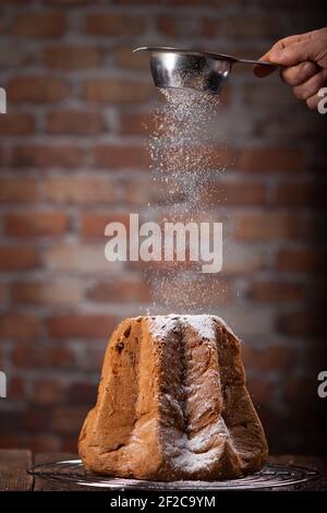 Pandoro avec dépoussiérage de sucre glace sur fond sombre. Gros plan Banque D'Images