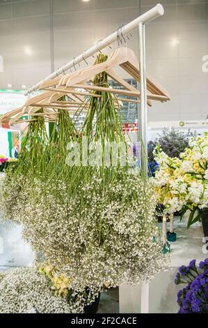 séchage des fleurs sur le cintre. Crochets en bois de style vintage Hanger sur un mur en brique blanche décoré de bouquets séchés dans une maison de style champêtre. Banque D'Images