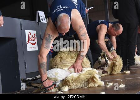 Tonte de la lame au Royal Highland Show Banque D'Images