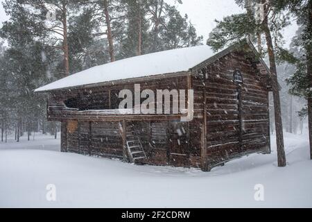 Ancienne grange de séchage traditionnelle pendant les fortes chutes de neige au Musée en plein air de Seurasaari à Helsinki, en Finlande Banque D'Images