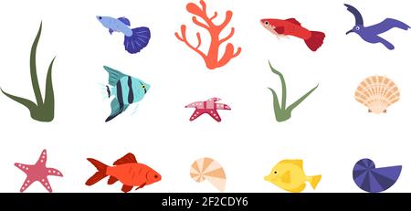 Ensemble d'icônes lumineuses de poissons, coraux, coquillages et éléments de mer Illustration de Vecteur