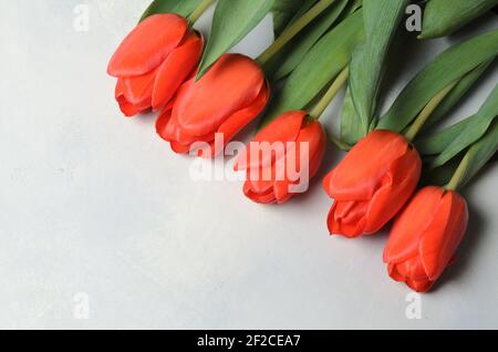 Plusieurs tulipes sur un arrière-plan de toile abstraite texturée. Mise au point sélective. Banque D'Images