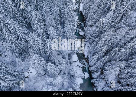 Paysage enneigé dans la forêt avec une rivière bleue - Suisse Banque D'Images