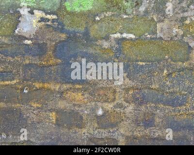 Un cliché de vieux mur de briques inégal recouvert de mousse et d'une autre végétation colorée. Banque D'Images
