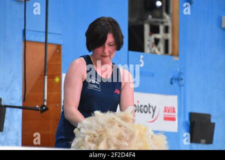 Audrey Lamb participe à la finale mondiale de la lainages Banque D'Images