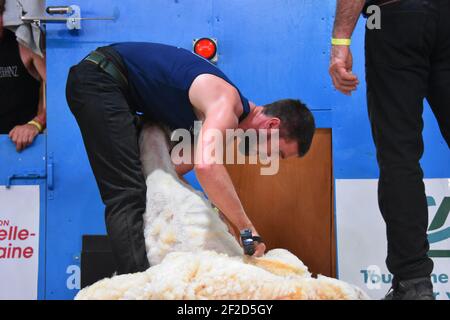 Allan Oldfield, champion du monde des lames, représente la Nouvelle-Zélande au Championnats du monde de tonte de mouton en France 2019 Banque D'Images