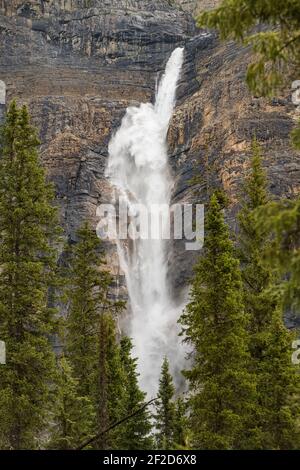Les chutes Takakkaw dans le parc national Yoho avec une grande quantité de L'eau coule en juin Banque D'Images