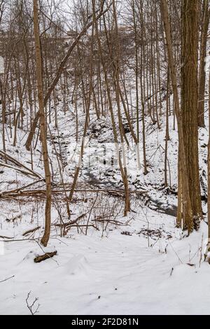 Tiffany Falls Ancaster Ontario Canada en hiver Banque D'Images