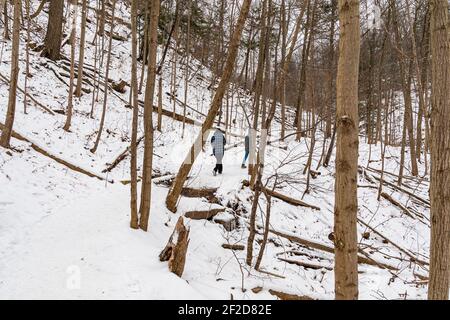 Tiffany Falls Ancaster Ontario Canada en hiver Banque D'Images