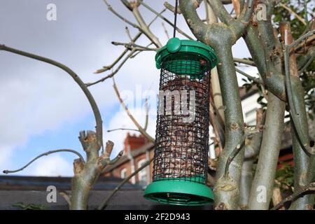 Nourriture pour oiseaux accrochée à une branche d'arbre pendant un certain temps laissé en grande partie inmangé Banque D'Images