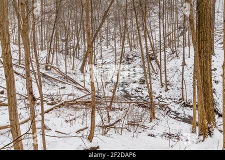 Tiffany Falls Ancaster Ontario Canada en hiver Banque D'Images