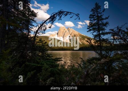 Une branche le long de la rive du lac Emerald entoure le mont Burgess dans le parc national Yoho. Banque D'Images