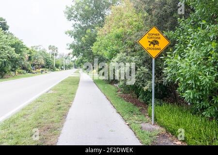 Route vide et un Gopher Tortoise Crossing panneau - Sanibel Island, Floride États-Unis Banque D'Images