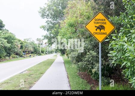 Une route déserte et un Gopher Tortoise Crossing signe - Sanibel Island, Floride Etats-Unis Banque D'Images