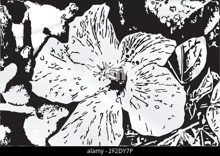 Illustration vectorielle d'un hibiscus à Miami, Floride. Illustration de Vecteur