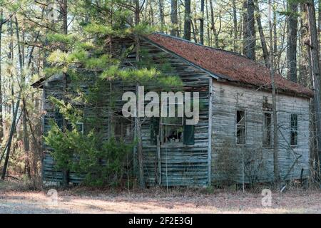 Chalet abandonné dans les bois Banque D'Images