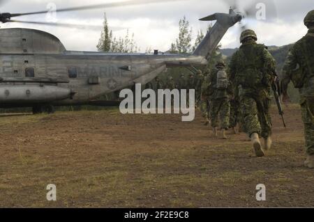 PPCLI à bord d'un hélicoptère américain à Hawaï 2008. Banque D'Images