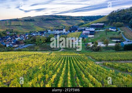 Vue aérienne sur les vignobles de la région de Sancerre en automne, Berry, cher, France Banque D'Images