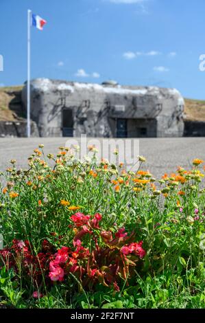 Lit de fleurs colorées en fleurs devant un bunker militaire en béton de la période de la Seconde Guerre mondiale. Jour ensoleillé d'été. Banque D'Images