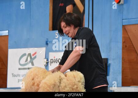 Audrey Lamb, originaire d'Écosse, est en compétition au World Woolhandling in France Banque D'Images