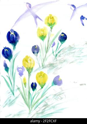 Fleurs et hirondelles , peinture aquarelle. Hirondelles d'oiseaux et fleurs bleues. Peinture à la main aquarelle Banque D'Images