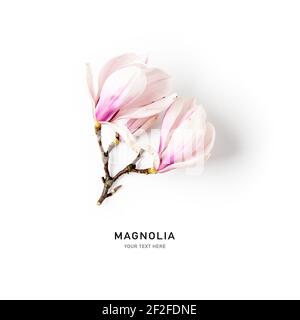 Fleur de magnolia. Belles fleurs de printemps roses isolées sur fond blanc. Concept de printemps. Flat Lay, vue du dessus, motif fleuri Banque D'Images