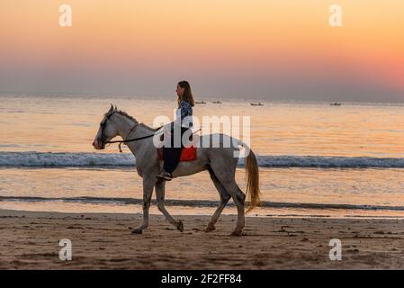 Cheval, cavalier, coucher de soleil sur la plage d'Agonda, Goa, Inde Banque D'Images