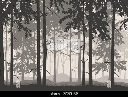 Arrière-plan de la forêt, silhouettes d'arbres. Paysage magique et brumeux. Illustration. Illustration de Vecteur