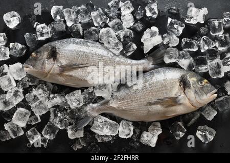 Poisson Dorado avec cube de glace sur fond d'ardoise noire. Motif de poisson. Vue de dessus. Banque D'Images