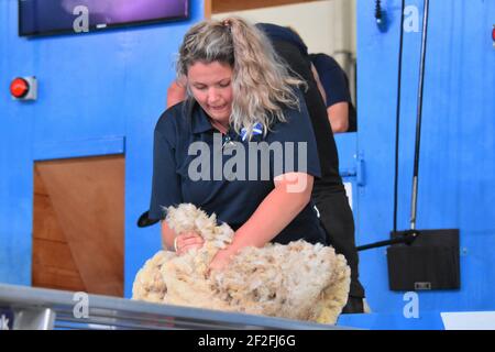 Audray Lamb et Rosie Keenan représentent l'Écosse au monde Manutention de la laine en France 2019 Banque D'Images