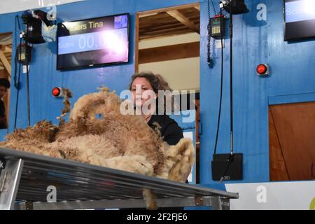 Audray Lamb et Rosie Keenan représentent l'Écosse au monde Manutention de la laine en France 2019 Banque D'Images