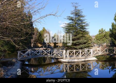 Petit pont en bois sur la rivière à l'intérieur des pins Banque D'Images