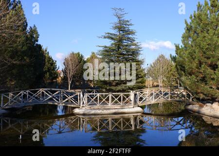 Petit pont en bois sur la rivière à l'intérieur des pins Banque D'Images