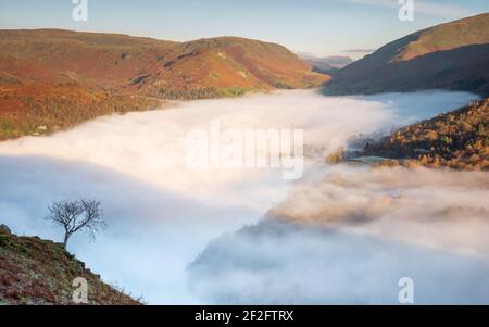 La vue de Loughrigg est tombée surplombant Grasmere lors d'une matinée d'automne froide avec une inversion de température remplissant la vallée et obscurcissant le lac. Banque D'Images