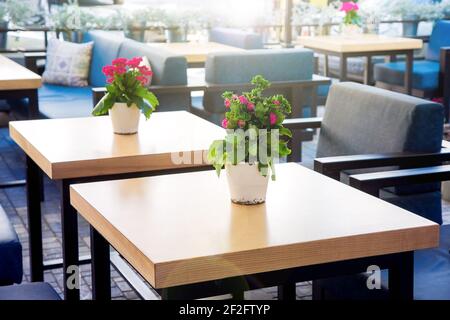 pots de fleurs blancs aux fleurs florales et feuilles vertes sur des tables en bois d'un café de rue avec fauteuils doux, plantes romantiques en place pour le repos, nob Banque D'Images