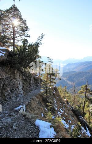 Randonnée de Walchensee à Herzogstand, 1731 M., pré-Alpes, Allemagne, Bavière, Haute-Bavière, pays de Tölzer, sentier de randonnée atmosphérique Banque D'Images