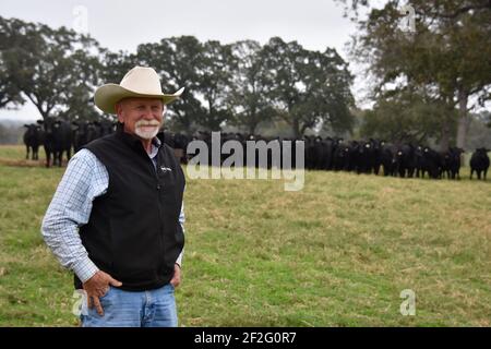 44 Farms, Cameron, Texas, États-Unis Banque D'Images