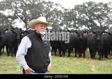 44 Farms, Cameron, Texas, États-Unis Banque D'Images