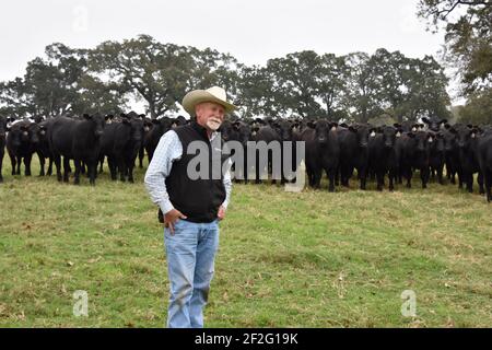 44 Farms, Cameron, Texas, États-Unis Banque D'Images