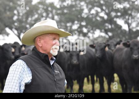 44 Farms, Cameron, Texas, États-Unis Banque D'Images