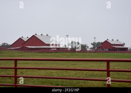 44 Farms, Cameron, Texas, États-Unis Banque D'Images
