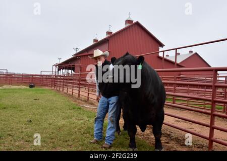 44 Farms, Cameron, Texas, États-Unis Banque D'Images