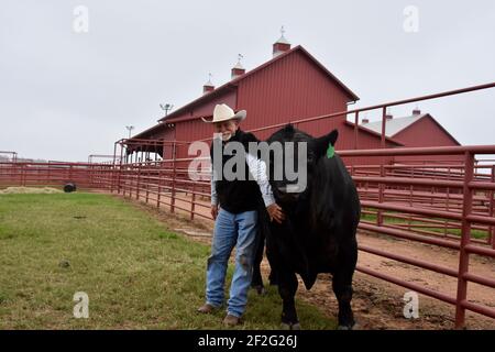 44 Farms, Cameron, Texas, États-Unis Banque D'Images