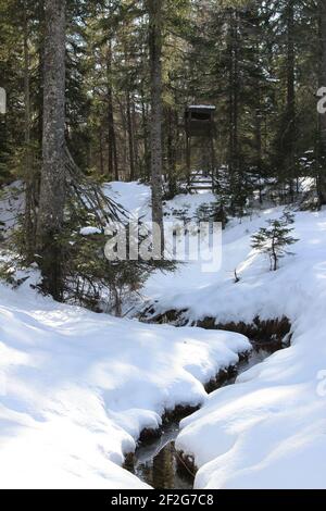 Randonnée d'hiver à Mittenwald, Europe, Allemagne, Bavière, haute-Bavière, Werdenfels, ruisseaux d'hiver, sauvages et romantiques en face de la haute place dans la forêt Banque D'Images