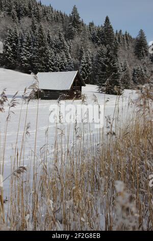 Randonnée d'hiver près de Gerold, près de Klais, Europe, Allemagne, Bavière, Haute-Bavière, Werdenfels, hiver, grange en bois nostalgique dans les roseaux directement sur le Geroldsee Banque D'Images