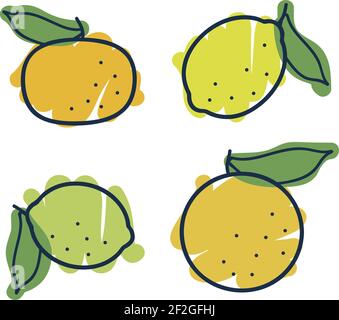 Jeu d'agrumes - illustration vectorielle Illustration de Vecteur